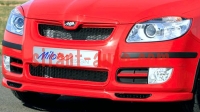 32813      Skoda Fabia 2 FL