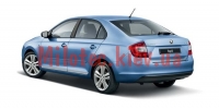 5JA064317     Skoda Rapid 5J