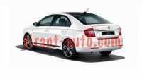 5JA064317D     Skoda Rapid 5J