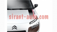1611501180   Citroen Cactus c4