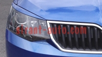 356804   Skoda Fabia Combi 3