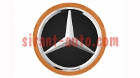 A00040009002232   AMG Mercedes GLS class X164