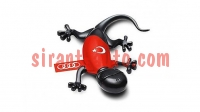 000087009K     Audi Turkey Gecko