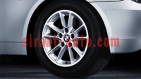 36116761990   R16 Radial Spoke 50 BMW E61