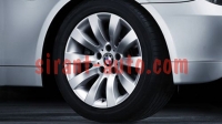 36116777347   R17 Radial Spoke 244 BMW E61