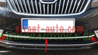 238202   Skoda Rapid